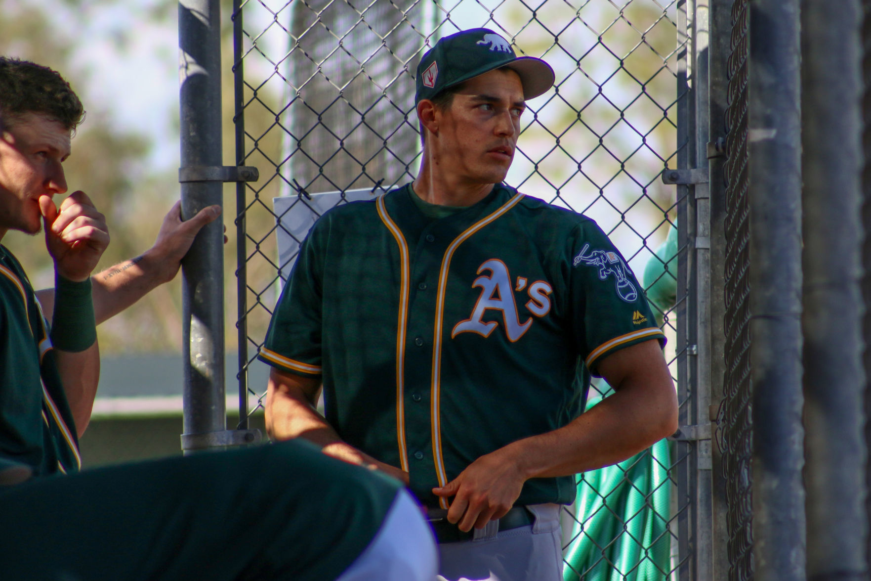 Kyle Lobstein